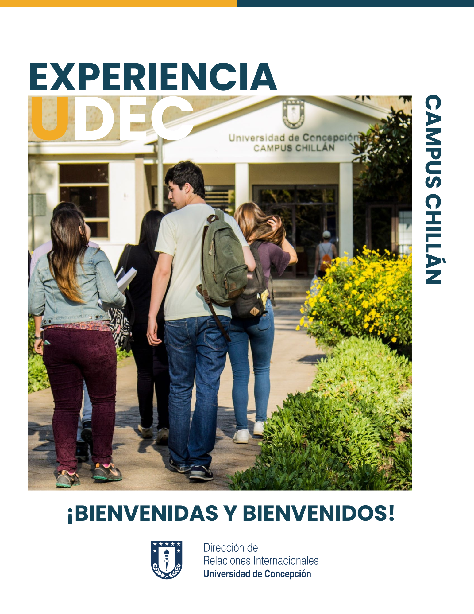 Experiencia UdeC-Chillan.pdf