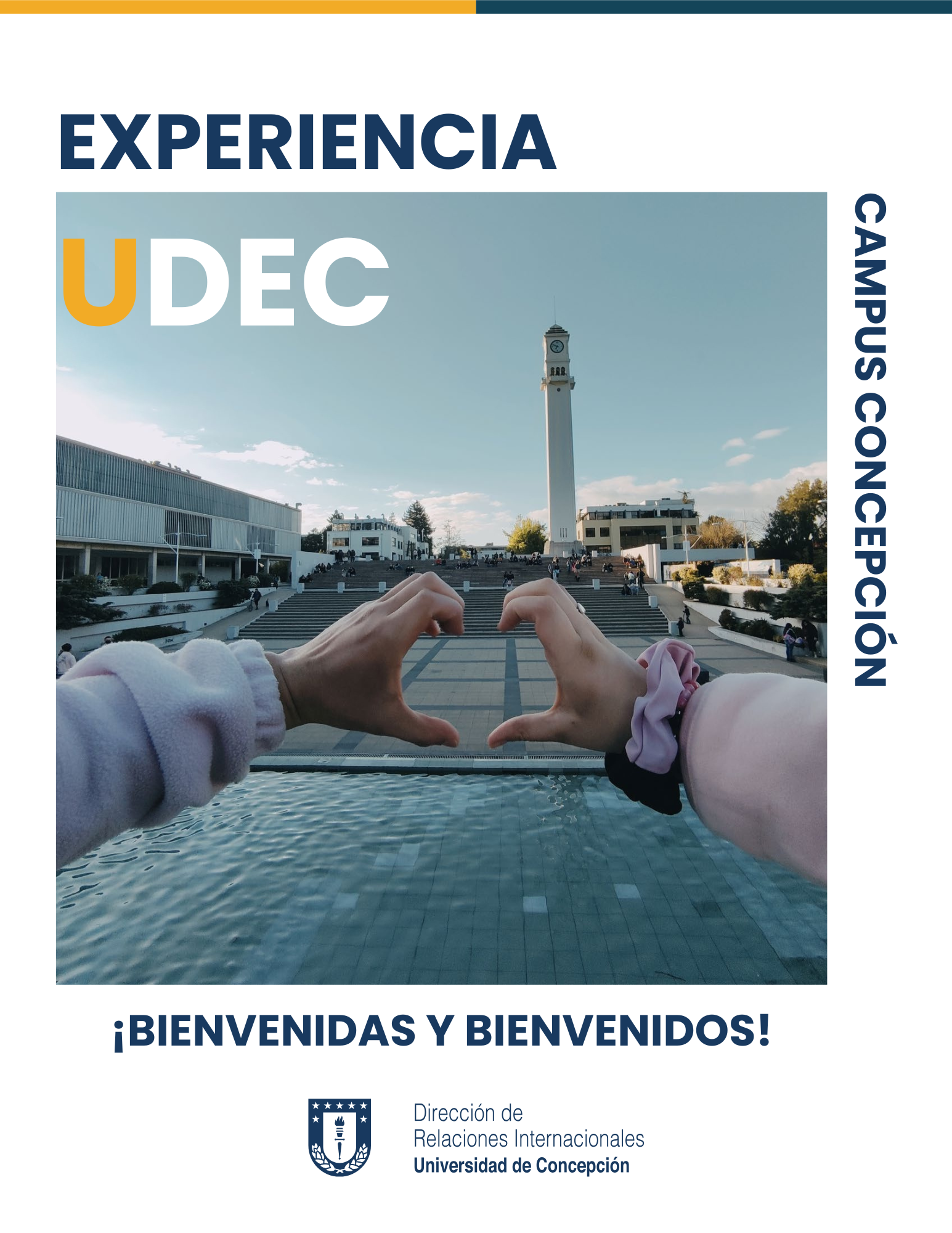 Experiencia UdeC-Concepcion.pdf