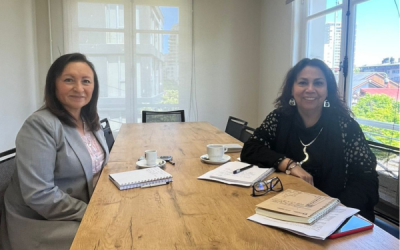Dra. Jimena Ibacache visita la DRI para explorar oportunidades de cooperación internacional en Salud Pública