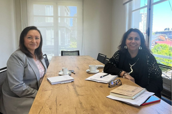 Dra. Jimena Ibacache visita la DRI para explorar oportunidades de cooperación internacional en Salud Pública