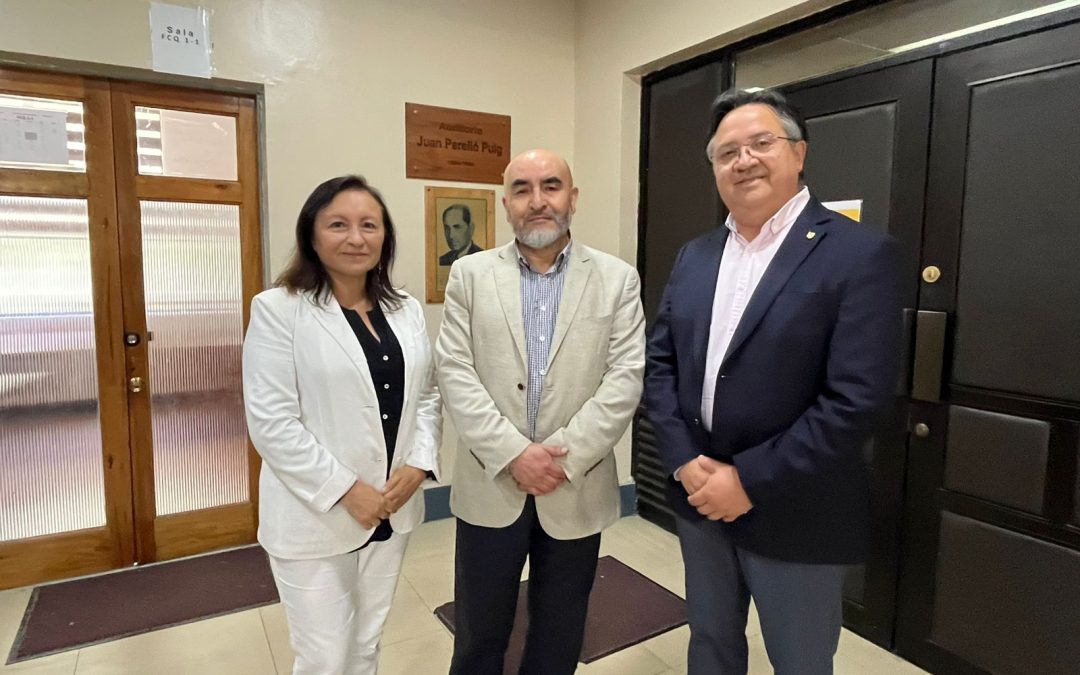 Comunidad UdeC analiza los desafíos de la internacionalización en la formación de postgrado y el rol clave de la vinculación internacional